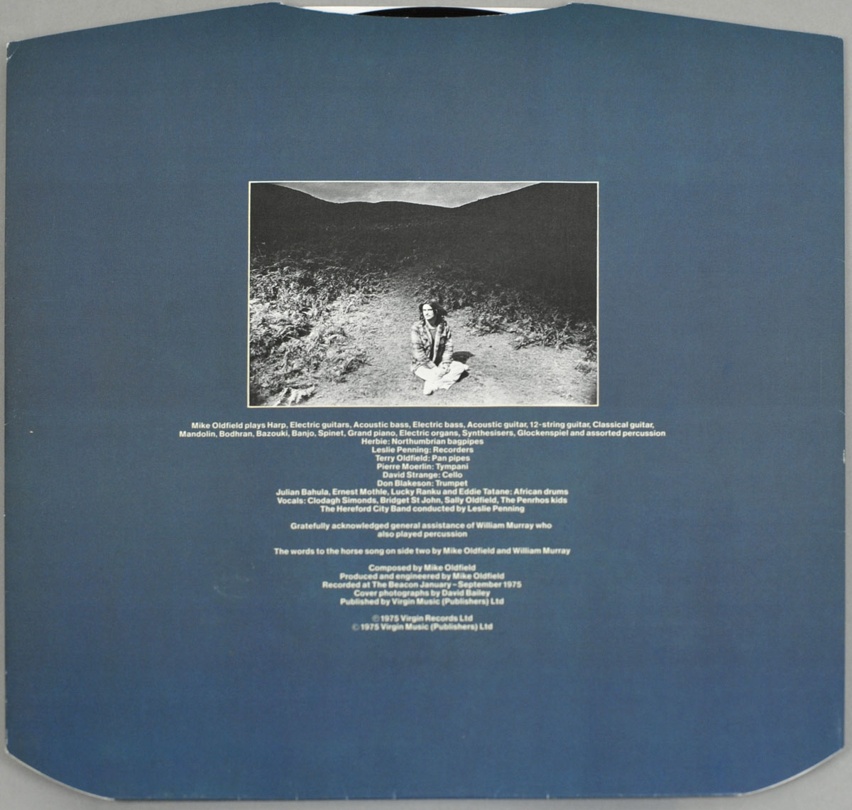 High Resolution Photo #12 MIKE OLDFIELD - Ommadawn https://vinyl-records.nl 
